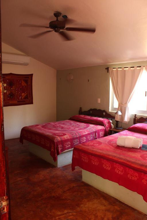 Fusion Beach Hotel Playa del Carmen Room photo